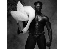 Tender Fury - Galerie Ron Mandos