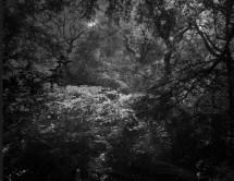 Uncertain Silence - The Photographers' Gallery