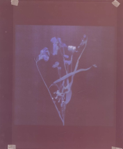 Akosua Viktoria Adu-Sanyah. no flowers - Centre culturel suisse