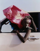 FRAGILE BEAUTY. Photographs from the Sir Elton John and David Furnish Collection - Jeu de Paume
