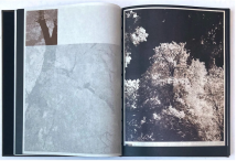 AS THE TWIG IS BENT, SO GROWS THE TREE - the(M) Book