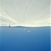 Alain Bublex - Landscaping - Galerie Geroges-Philippe & Nathalie Vallois