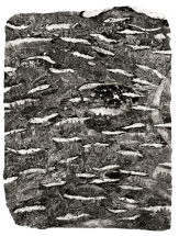 Tokyo, 2024 - Michael Hoppen Gallery