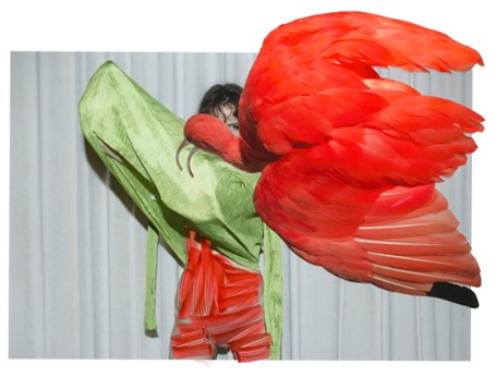 Eudocimus Ruber, from the series Of Mud and Lotus, 2017 © Viviane Sassen and Stevenson (Johannesburg / Cape Town / Amsterdam)