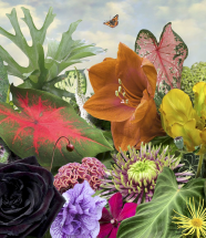 Ruud van Empel. A Perfect World - Musée de la Photographie