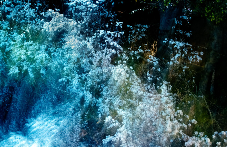 Ai Iwane, Takashiba Dekoyashiki, Koriyama, Fukushima, 2020 - Courtesy of the artist and IBASHO.