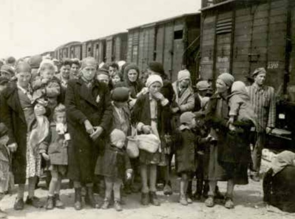 © Photo de l’album d’Auschwitz. Yad Vashem.