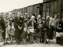 How the Nazis photographed their crimes. Auschwitz 1944 - Mémorial de la Shoah