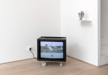 Brave New World - ANITA BECKERS