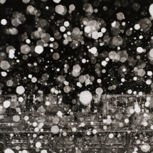 Sophie Rivera: Double Exposures - El Museo del Barrio