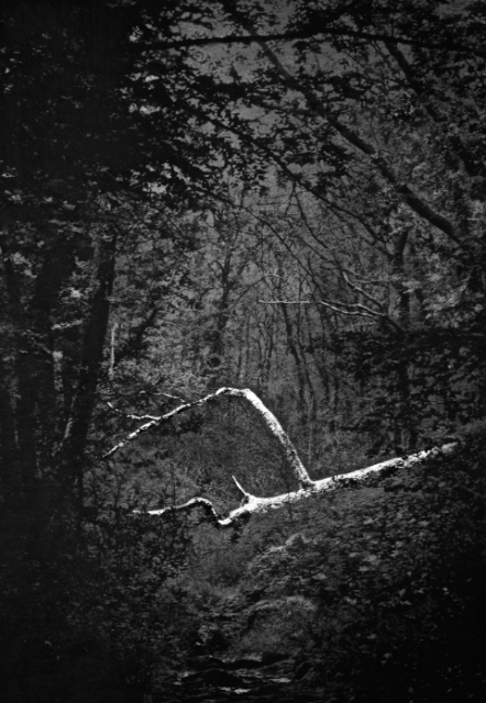 Courtesy of AurelK and Binome Gallery.