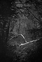 At the threshold - BINOME