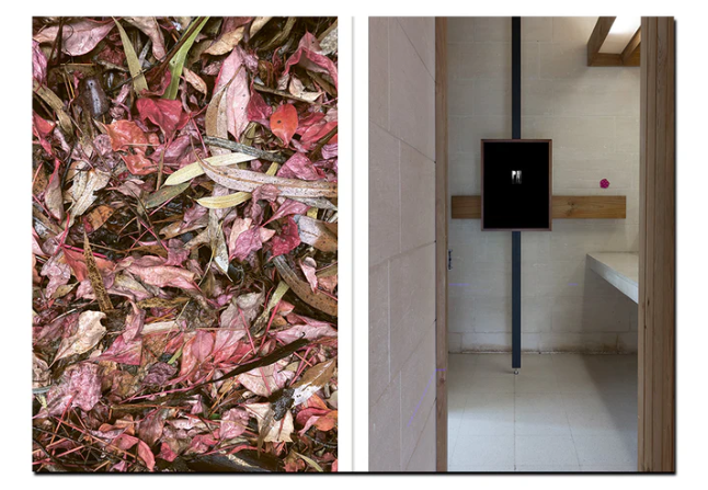 Images of &quot;Lumina: The Photic Atlas&quot; book by Perimeter Editions - Images courtesy of Izabela Pluta.