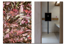 Lumina: The Photic Atlas - Perimeter Editions