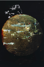 The Garden: chapter 2 - Homecoming Gallery