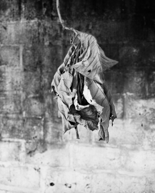 Images of "Something like a spider" book by Le Bec en l'air - Images courtesy of Marion Gronier.