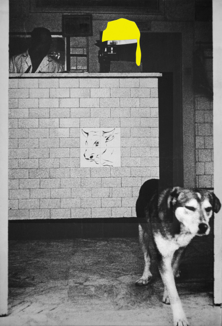 Mario Cresci, Senza titolo, Tricarico 1967 - Milano 1972 (1972). copyright Mario Cresci