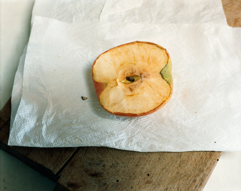 Guido Guidi, Ronta, 2016 - Courtesy of the artist & LARGE GLASS