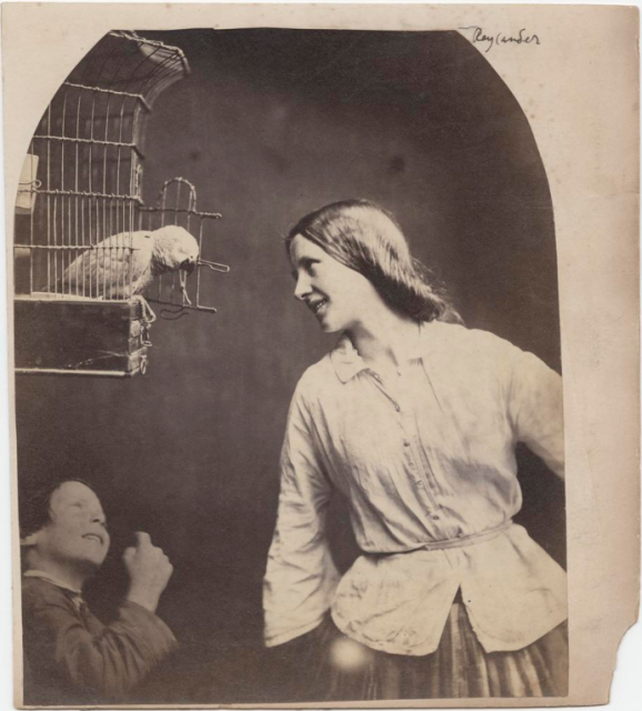 Enchanted by a Parrot (Mary Rejlander?), about 1860, Oscar Rejlander, William Talbott Hillman Collection, New York. Photo: Hans P. Kraus, Jr., New York
