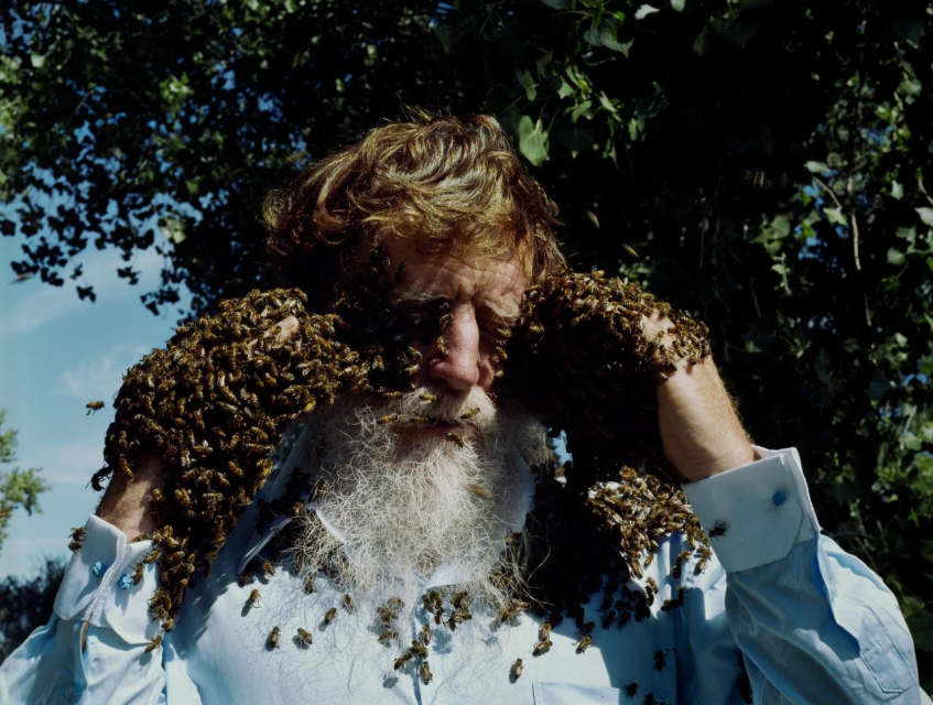 Holly Lynton. &quot;Les, Honeybees, the Bosque, New Mexico&quot;, 2007. The Nelson-Atkins Museum of Art, Gift in honor of Madeline and Toler Poole, 2023.30. © 2024 Holly Lynton