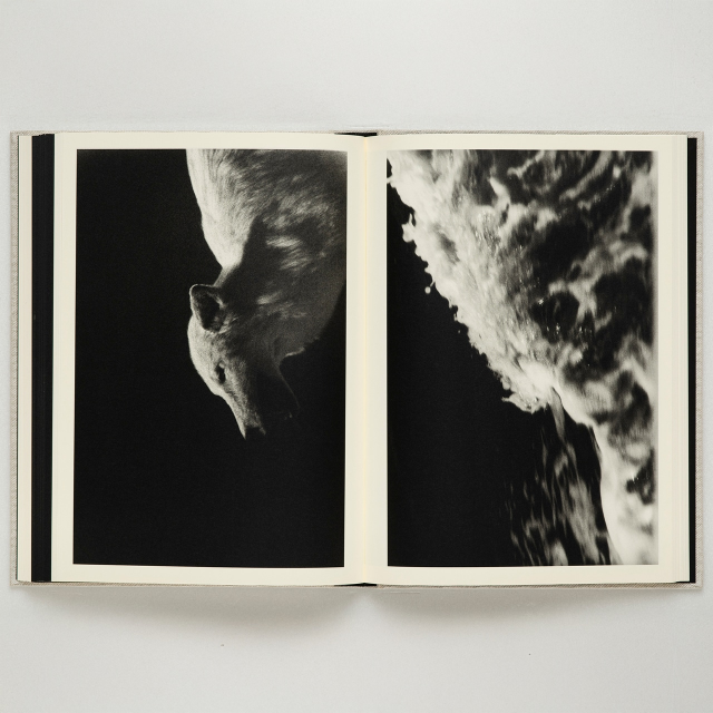 Images from "Sakiko Nomura: Lirio" book by bookshop M - Images courtesy of Sakiko Nomura.