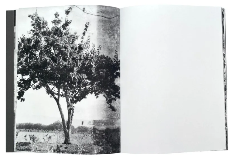 Images of "EVERYTHING IN THIS PLACE WILL OUTLIFE ME" book by the(M) Book. Images courtesy of Alexandra Catiere.