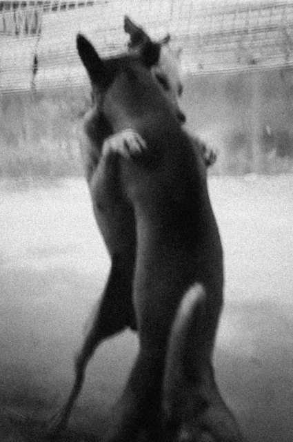 Antoine Lecharny, Sans titre #8, 2023 - Courtesy of the artist and Galerie Sit Down.