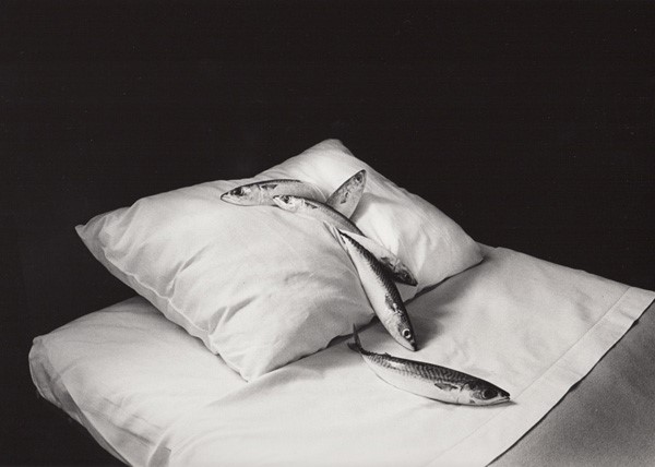 Michikon Kon, Mackerel & Pillow, 1979 © Courtesy Robert Mann Gallery