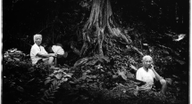 Vanishing existence. Photographies de Kosuke Okahara - Musée Cernuschi