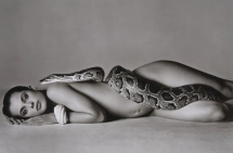 Private Collections Salon & Sale - Jackson Fine Art