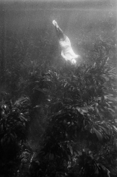 © Kusukazu Uraguchi "Underwater, Fuseda",
1965. Courtesy of Uraguchi Estate