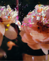 BLOOMING - Bildhalle ZURICH