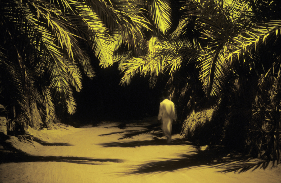 L’homme sous les palmes, Egypte, 2009 © Dolorès Marat