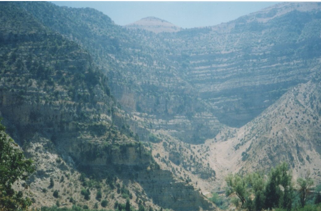 Courtesy of Daniele Genadry and Taymour Grahne Projects.