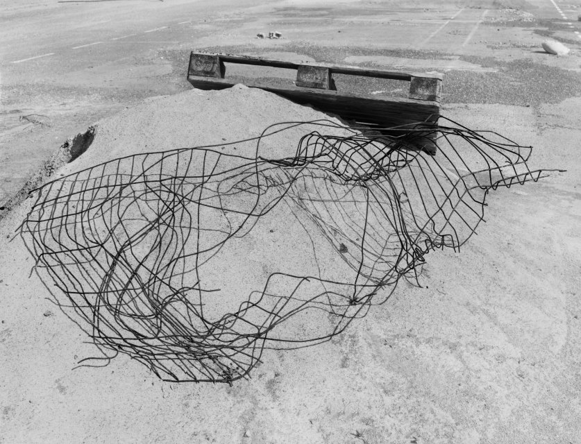 The Inhabitants © Raymond Meeks