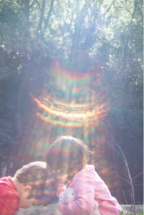 Rinko Kawauchi. A faraway shining star, twinkling in hand - Fotografiska Tallinn