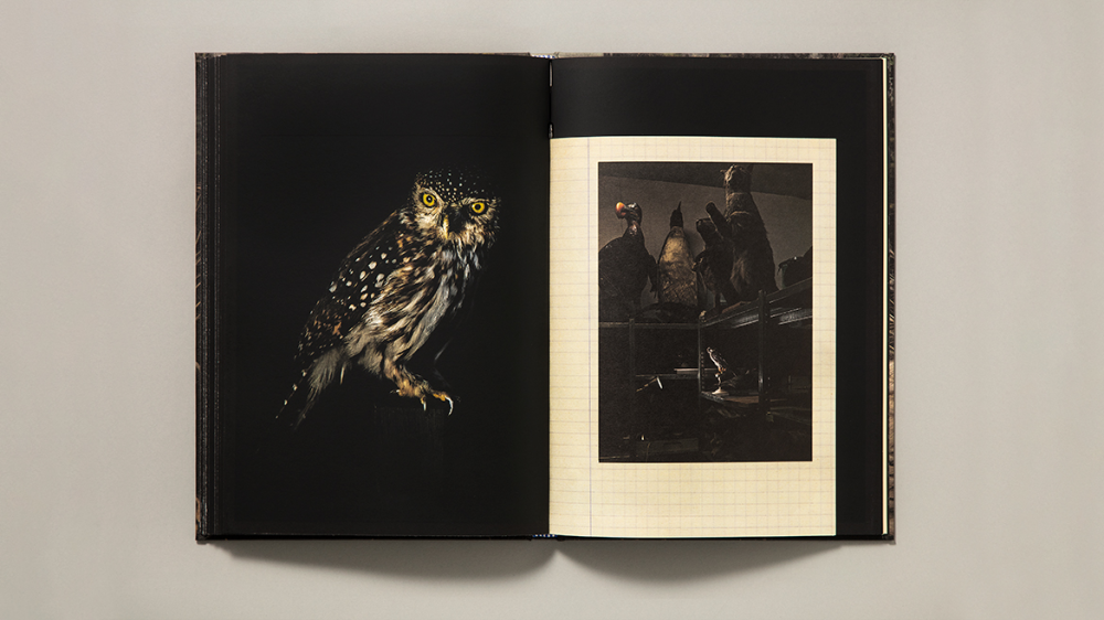 Images from &quot;Still Life&quot; book by Fotô Editorial - Images courtesy of Lucas Lenci.