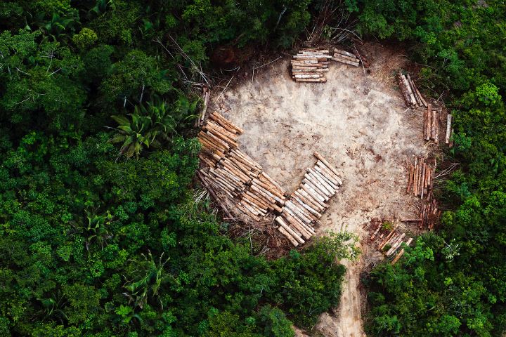 Daniel Beltrá, Amazon tree clearing (#200), 2013, From the Forests series, 24 x 36", 40 x 60", 48 x 72" mounted digital chromogenic dye print, Edition of 10, 8, 4