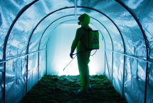 THE TIME AFTER - Porte B.