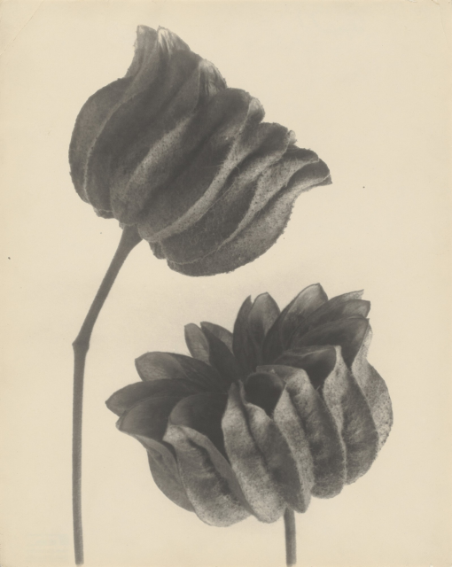 © courtesy Berlin University of the Arts, University Archive, in collaboration with the Photographische Sammlung/SK Stiftung Kultur, Cologne