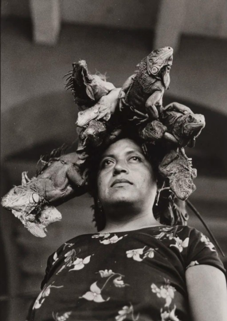 Graciela Iturbide, "Nuestra Señora de las Iguanas, Juchitán, Oaxaca, México (Our Lady of the Iguanas, Juchitán, Oaxaca, Mexico)" (detail), 1979. Gelatin silver print. Colecciones Fundación Mapfre. © Graciela Iturbide
