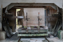 Aglaia Konrad, Autofictions in Stone - Secession