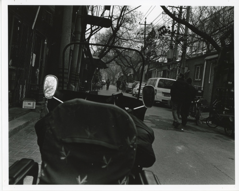 Osamu Kanemura, "SKELETON GOATS DUST STORMS," 2008 - Courtesy of the artist and MEM.