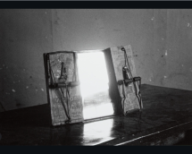 What We Have Seen - Zander Galerie