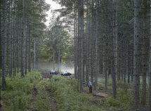 Gregory Crewdson. Eveningside - Musée de la Photographie