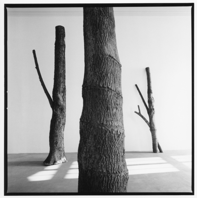 © Giuseppe Penone. Vue d’exposition au Castello di Rivoli Museo d’Arte Contemporanea (Rivoli-Turin), 1991. Photo : Gérard Rondeau. © Adagp, Paris, 2024.