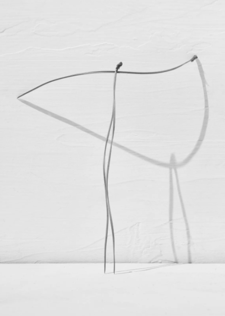 Txema Yeste Spanish, Needles, 2019-2024 - Courtesy of the artist & Galeria Alta