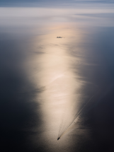 Lucas Foglia - Constant Bloom - Caroline O'Breen