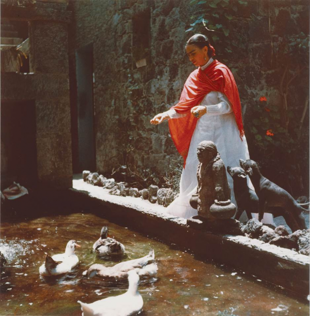 Gisèle Freund, Frida Kahlo in her garden, Coyoacán, Mexico City, circa 1951 (Courtsey: Collection of Dr. Marita Ruiter, Galerie Clairefontaine Luxembourg / © Gisèle Freund/IMEC/Fonds MCC)