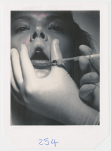 Polaroids - Caroline Lambert